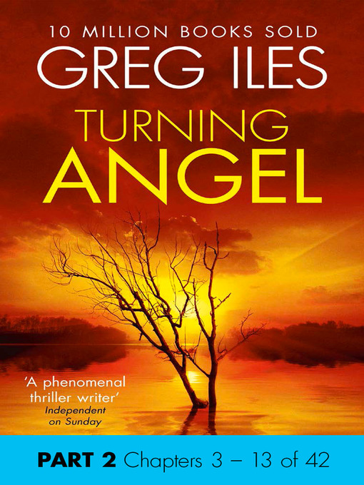 Cover image for Turning Angel, Part 2
